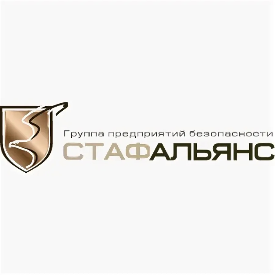 Логотип ООО "Безопасность бизнеса"